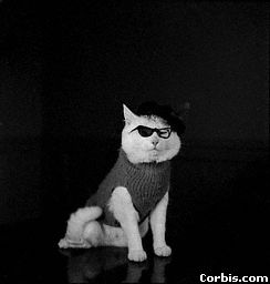 moch a la mode