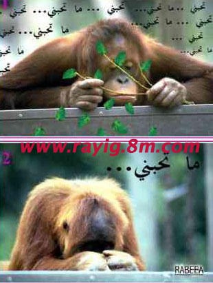 mskin